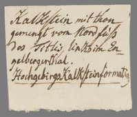 L 01626
<br/>
Label met opschrift
<br/>
<em>Escher von der Linth, Johannes Conrad (1767-1823)</em>